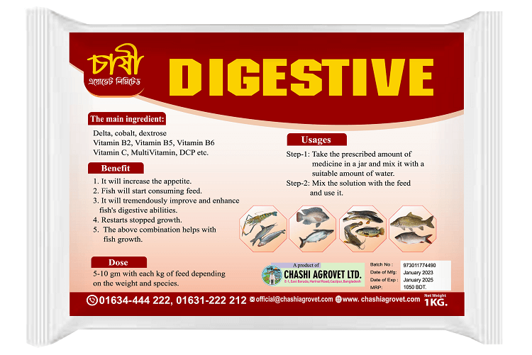 Digestive