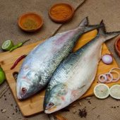 hilsa